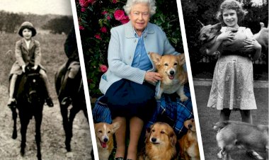 Каких животных любила королева Елизавета в детстве