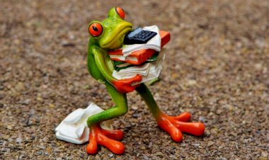 Уникальные подарки для учителей: 3 осенних идеи, которые порадуют педагогов