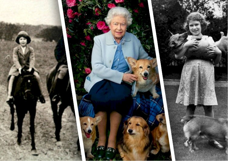 Каких животных любила королева Елизавета в детстве