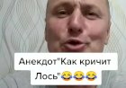Как кричит Лось)))