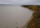 Краски осени. Лебяжье