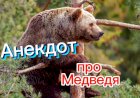 Анекдот про Медведя.