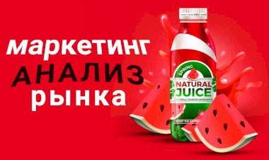 Как провести исследование рынка +пример