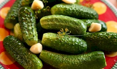 Готовлю малосольные маринованные огурцы на зиму по прекрасному советскому рецепту