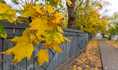 Красивая осень