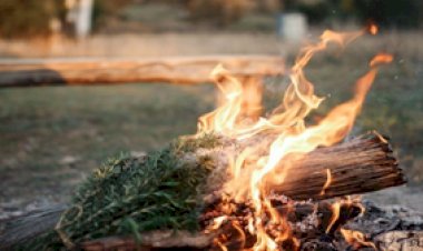 Растопка для костра из ватных дисков: действует отлично, даже с сырыми дровами