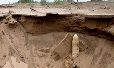 В пустыни Гоби обитает  загадочное существо - червь Олгой - Хорхой