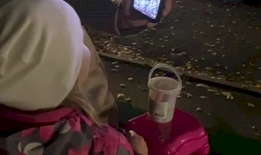 Радости нет предела