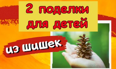 Поделки из шишек. 2 идеи.mp4
