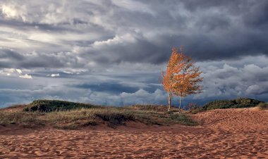 Настоящая осень)