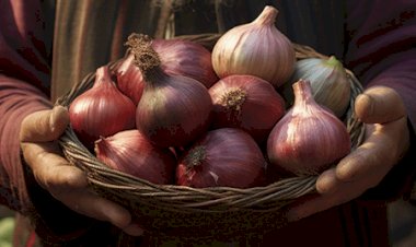 Простая смесь сахар + лук  раздробит и выведет камни из почек