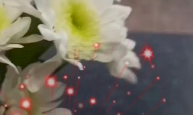 Шикарный букет для любимых.