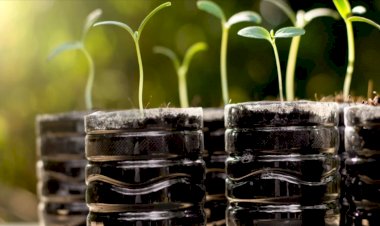 10 Советов по экономии денег  при садоводстве