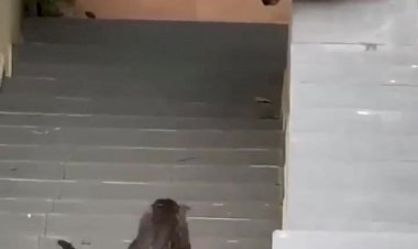 Своих не бросаем!