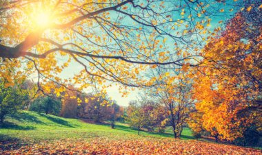 Вот такая осень