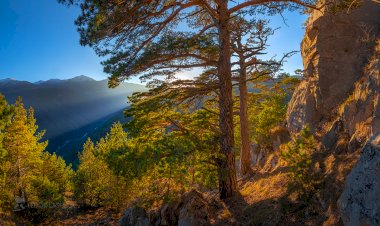 Место силы осенью