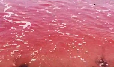 Красный пляж в Иране