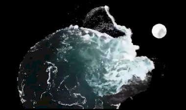 Откуда берутся приливы