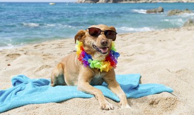 С подружкой на море)