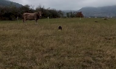 Шанти-футболистка