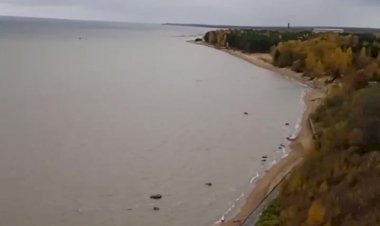 Краски осени. Лебяжье