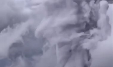 Природа удивительна .