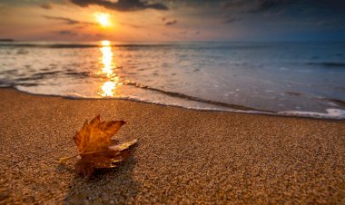 Осеннее Море