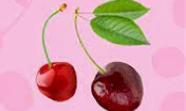  Надо ли отказаться от сладостей вредящих фигуре и переходить на сладкие ягоды и фрукты?