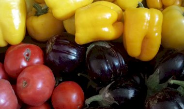 Знай, что ты ешь: расшифровка цвета овощей