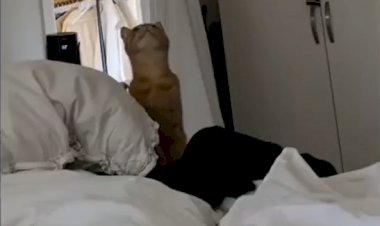 Попробуй, повтори!