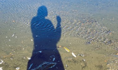 Вода и тишина. Давно не созерцала такого спокойствия