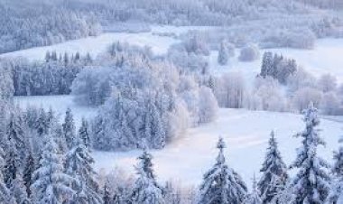 Польза здорового образа жизни!!