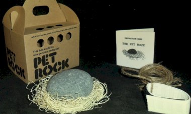 «Экономика для глупых». Как Гэри Дал быстро стал миллионером, продавая обычные камни?