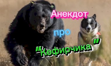Анекдот про "Кефирчика"