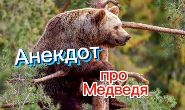 Анекдот про Медведя.