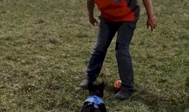 Тренировка великой спортсменки в различных условиях