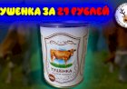 Самая дешевая тушенка за 29 рублей. Показываю, что внутри и пробую на вкус