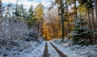 По первому снегу 2