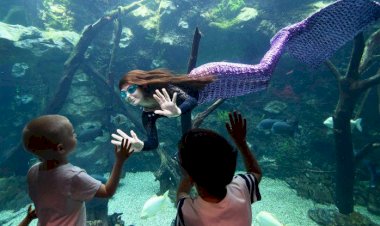 Встреча с Русалкой)