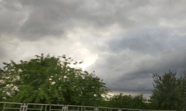 DDI?SEA - Опустошение