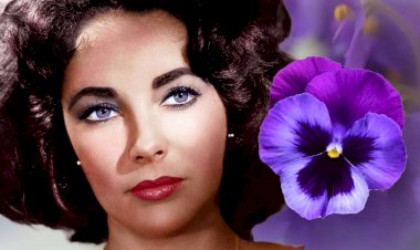 Тайна фиалковых глаз Элизабет Тейлор