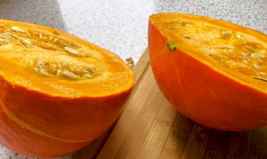 Семена «Учики Кури» однозначно в списке покупок и вот почему