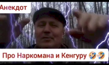 Анекдот про Наркомана и Кенгуру