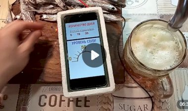 Солемер или как правильно солить уклейку