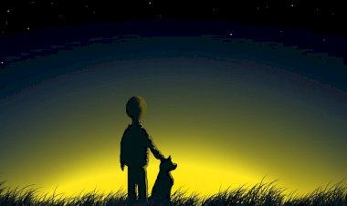 Прогулка перед сном