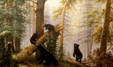 "Вот этот русский, который так великолепно рисует". Неординарный и талантливый Иван Шишкин