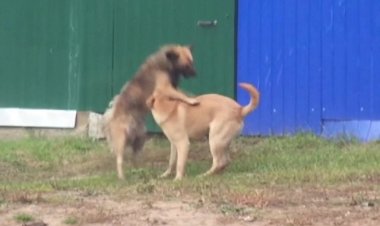 Азарт -  исполнитель Аверьянов Сергей