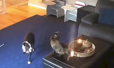 Слабонервным не смотреть!