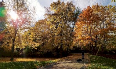 Кусочек солнца)