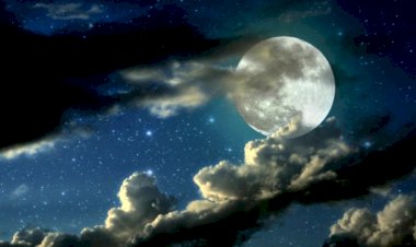 "Танго смерти"